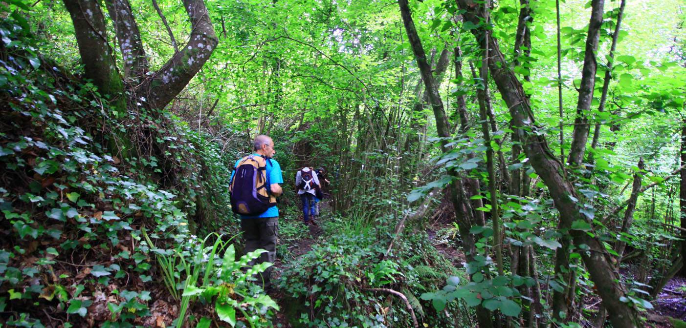 visit the nature